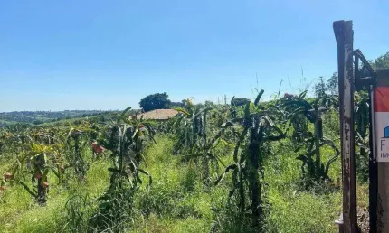 Chácara Residencial à venda, Reforma Agrária, Valinhos - CH0132.