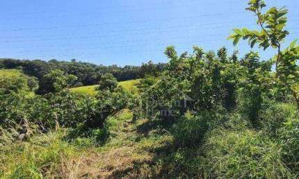 Área Rural à venda, Morro das Pedras, Valinhos - AR0088.