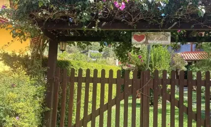 Casa com 4 quartos à venda na Rua Rodrigues Alves, São Pedro da Serra, Nova Friburgo