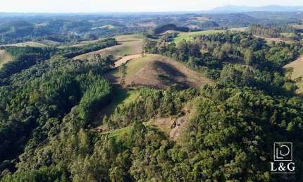 Terreno para Venda em Campo Alegre, Bateias de Cima
