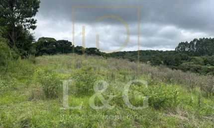 Terreno para Venda em Campo Alegre, Bateias de Cima