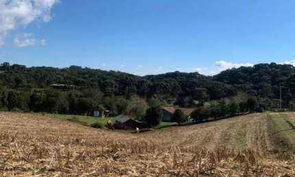 Chácara para Venda em Campo Alegre, Campinas, 6 dormitórios, 5 banheiros