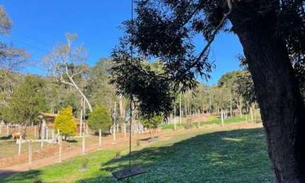 Terreno à venda na Rua Principal Avenquinha, 01, Avenquinha, Campo Alegre