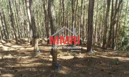 Fazenda à venda na Zona Rural, Itapirapuã Paulista  por R$ 10.000.000