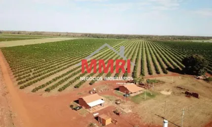 Fazenda à venda no Patrimônio Novo, Votuporanga , 158 m2 por R$ 27.000.000