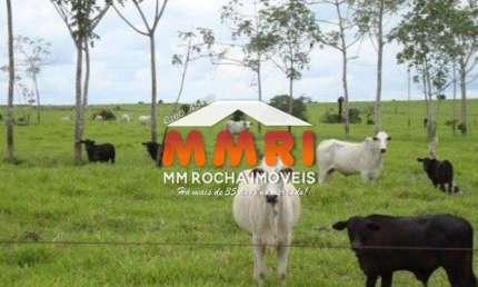 Fazenda à venda na Zona Rural, São Félix do Araguaia 