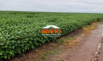 Fazenda à venda na Zona Rural, Afonso Cunha 