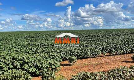 Fazenda à venda na Zona Rural, Nova Ubiratã 