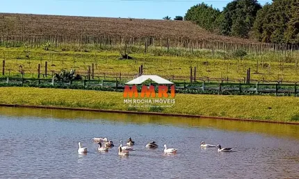 Ponto comercial à venda na Zona Rural, Entre-Ijuís 
