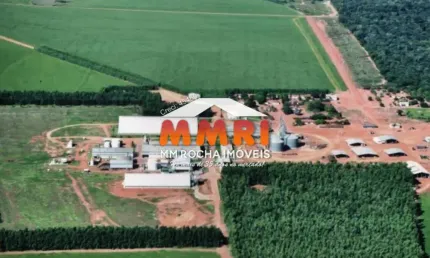 Fazenda à venda na Zona Rural, Mutum 