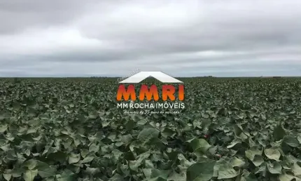 Fazenda para Agricultura entre Paricis e São José do Rio Claro/MT