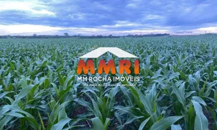 Fazenda na divisa de goiais/mato grosso e tocantins