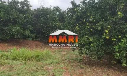 Fazenda à venda na Área Rural de Lins, Lins 