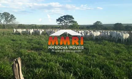 Fazenda à venda na Zona Rural, Novo São Joaquim 