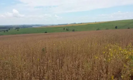 Fazenda à venda na Zona Rural, Jumirim 