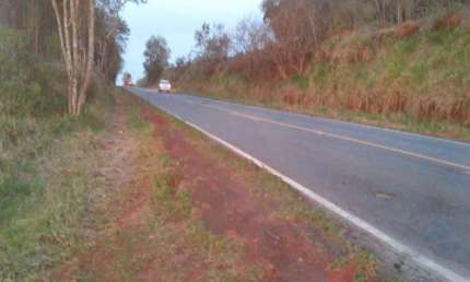 Fazenda ótima topografia terra vermelha forma da em soja em Itapeva - R$ 160.000 mi, Cod: 3629