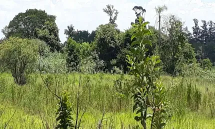 Terreno à venda em Barreiro, Araçoiaba da Serra 