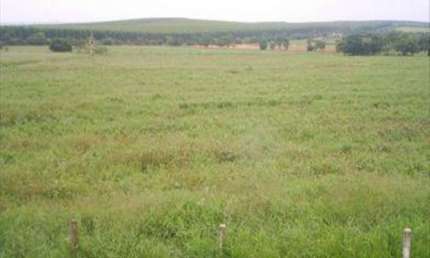 Terreno á venda no Capanema - Araçoiaba da Serra/SP