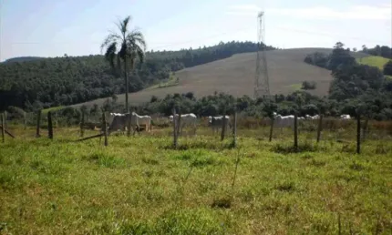 Chácara / sítio com 1 quarto à venda na Zona Rural, Pilar do Sul 