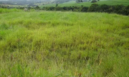 Terreno à venda no Alto Grande, Araçoiaba da Serra 