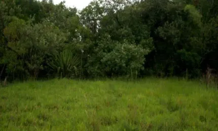 Terreno à venda em Araçoiabinha - Araçoiaba da Serra/SP