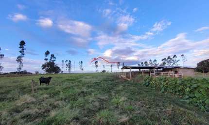 Sítio com 75.000m², Topografia plana,  4 km do Trevo da Petrobras - Uberlândia