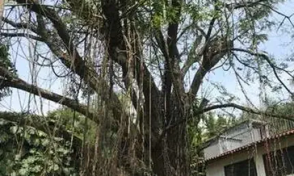 Terreno à venda na Avenida Giovanni Gronchi, 911, Vila Andrade, São Paulo