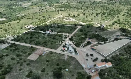 Terreno à venda na Rodovia (Rua Plácido Corrêa De Lima), 1, Zona Rural, Bezerros