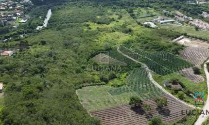 Propriedade com 33 Hectares a 1.300 metros da Via Local