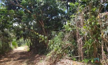 Propriedade com 13,2 hectares em Gravatá - Várias Nascentes