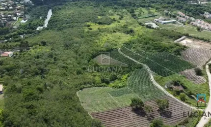Propriedade com 33 hectares a 1.300 metros da via local
