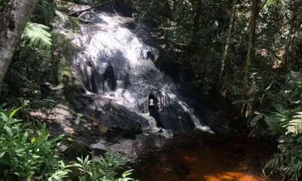 Sítio com 3 dormitórios à venda, 144000 m² por r$ 900.000,00 - rio preto - rio preto/mg