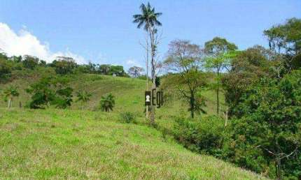 Sítio à venda, 160000 m² por R$ 260.000,00 - Piau - Piau/MG