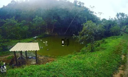 Sítio com 3 dormitórios à venda, 290000 m² por R$ 650.000,00 - Sem Bairro - Lima Duarte/MG