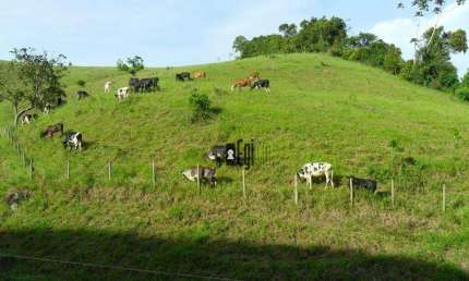 Sítio com 4 dormitórios à venda, 175000 m² por R$ 700.000,00 - Ewbank Da Camara - Ewbank da Câmara/MG