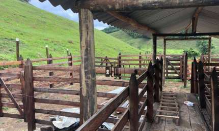 Fazenda com 4 dormitórios à venda, 700000 m² por R$ 1.450.000,00 - Centro - Juiz de Fora/MG