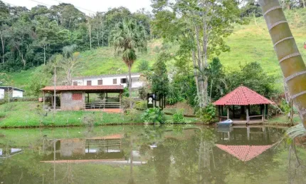 Sítio maravilhoso para moradia ou investimento em penido !!