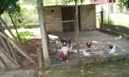 Chácara com 1 dormitório à venda, 2000 m² por R$ 195.000,00 - Paula Lima - Juiz de Fora/MG