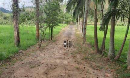 Sítio com 2 dormitórios à venda, 420000 m² por R$ 700.000,00 - Barreira do Triunfo - Juiz de Fora/MG