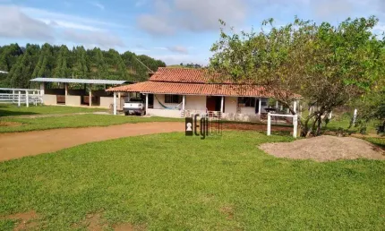Fazenda em Goianá a venda com 75 hectares - Alta produção de Silagem além de excelente para pecuária - Fácil acesso!