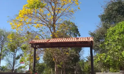 Chácara / sítio com 3 quartos à venda no São Félix Pioneiro, Marabá 