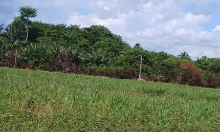 Ponto comercial à venda no São Félix III, Marabá 