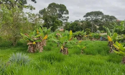TERRENO A VENDA EM CONDOMÍNIO – ITATIBA - PARQUE DA FAZENDA - LEVE DECLIVE