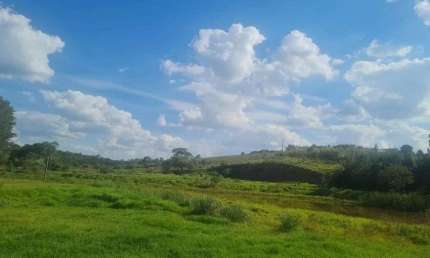 ÁREA RURAL A VENDA EM JARINU - AT: 10 ALQUEIRES - ÓTIMA TOPOGRAFIA