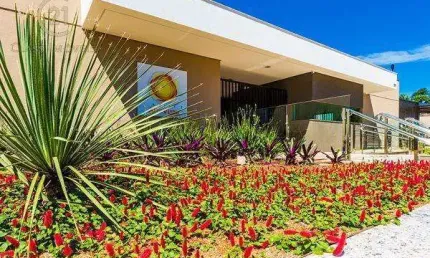 Apartamento à venda e para alugar em Londrina, Aurora, com 3 quartos, com 71 m², Solar Alta Vista