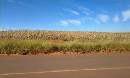 Sítio à venda em Londrina, Conjunto Vivi Xavier, com 1 suíte, com 1 m²
