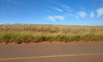 Sítio à venda em Londrina, Conjunto Vivi Xavier, com 1 m²