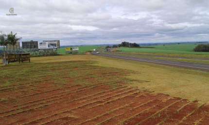 Terreno à venda na Área Rural de Rolândia, Rolândia 