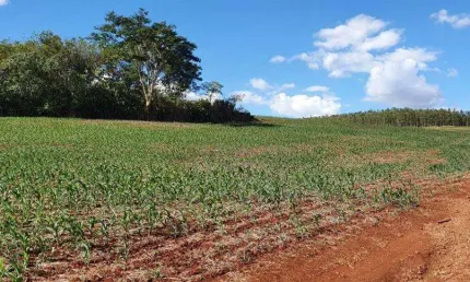 Terreno à venda em Sertanópolis, Rodovia, com 208120 m²