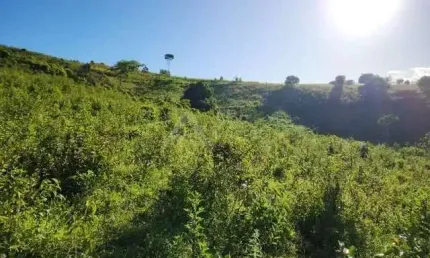 Chácara / sítio à venda na Area Rural, 1, Centro, Xexéu